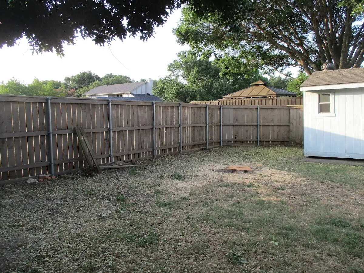 Cleared yard after professional tree removal in Mineral Springs