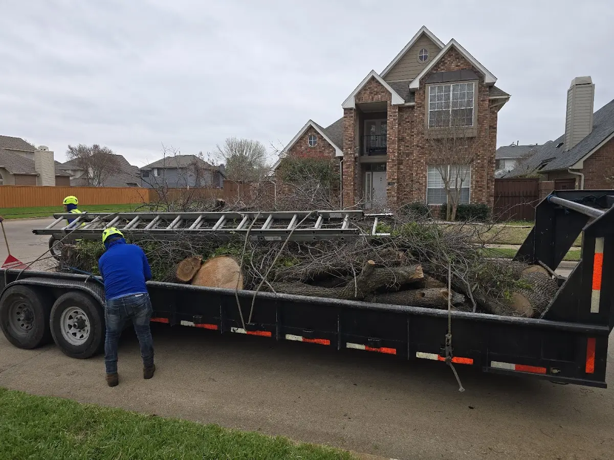 Expert Crown Reduction with proper safety equipment in Mineral Springs